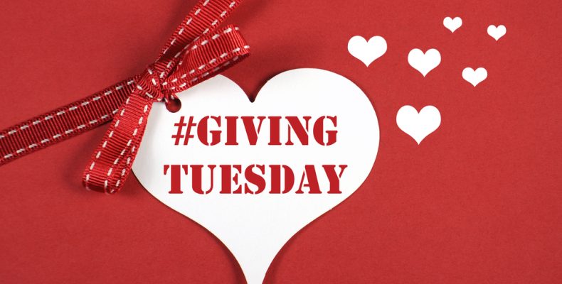 Image result for giving tuesday 2019 logo