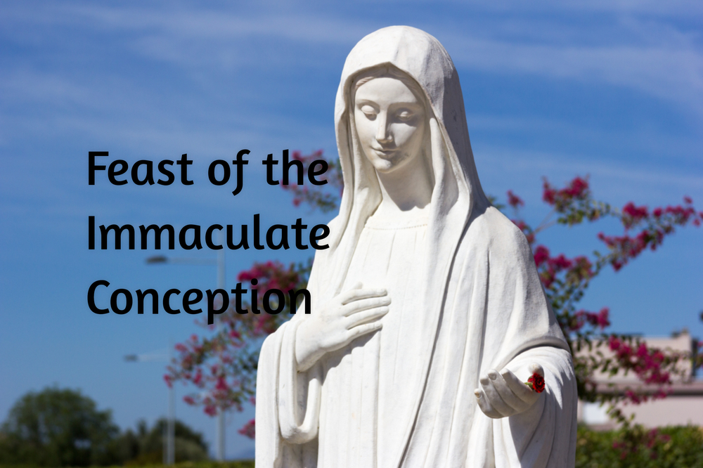 Feast of the Immaculate Conception in 2021/2022 - When, Where, Why, How ...
