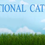 International Cat Day_ss_452118181