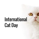 International Cat Day_ss_560542342