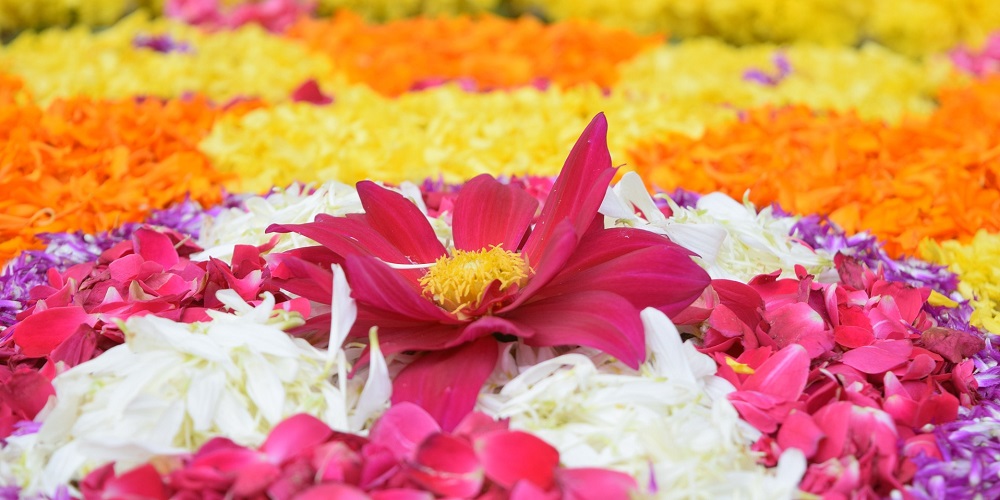 Onam in 2024/2025 When, Where, Why, How is Celebrated?
