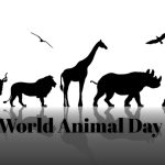 World Animal Day_ss_559680808