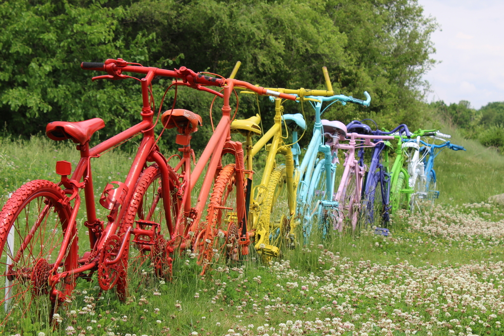 Bicycle Day in 2024/2025 When, Where, Why, How is Celebrated?