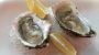 National Oyster Day-2549