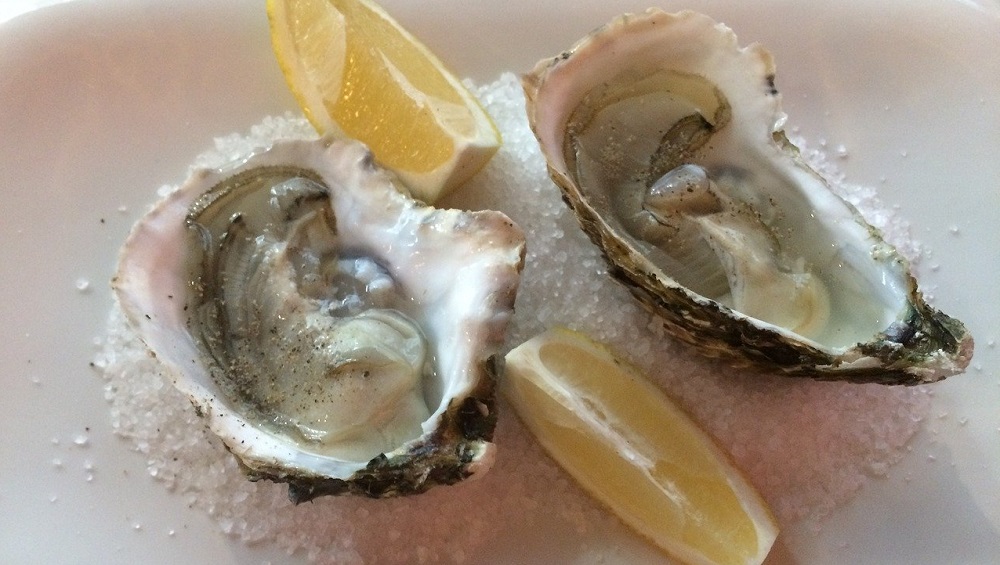 National Oyster Day in 2024/2025 When, Where, Why, How is Celebrated?
