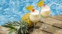 National Pina Colada Day-2939