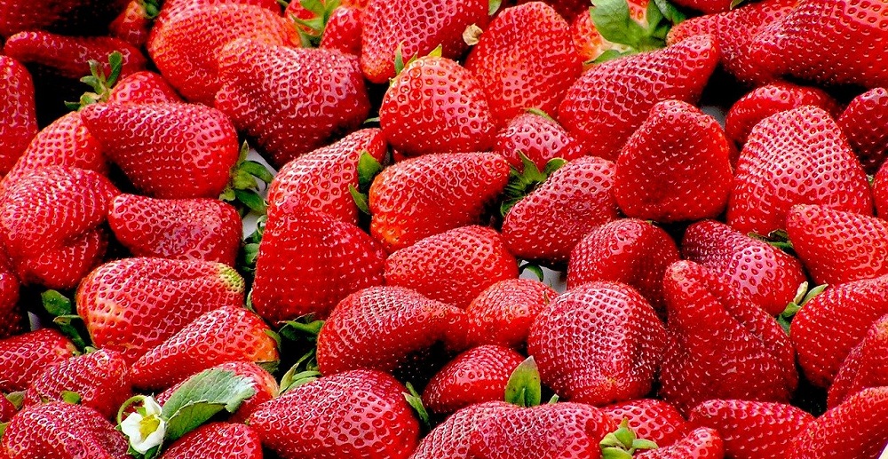 National Strawberry Day in 2025/2025 When, Where, Why, How is Celebrated?