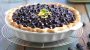 National Blueberry Pie Day