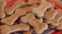 National Dog Biscuit Day-3275