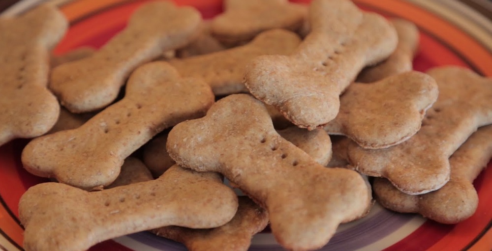 National Dog Biscuit Day in 2024/2025 When, Where, Why, How is
