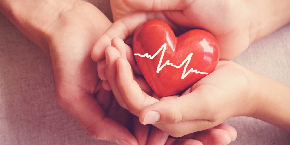National Organ Donor Day in 2024/2025 When, Where, Why, How is