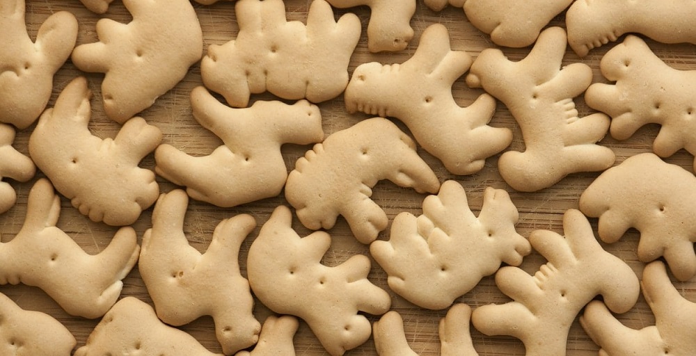 National Animal Crackers Day in 2024/2025 When, Where, Why, How is
