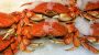 National Crabmeat Day-3388