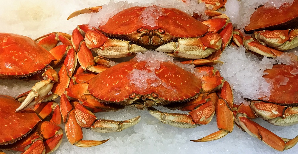 National Crab Meat Day in 2024/2025 When, Where, Why, How is Celebrated?