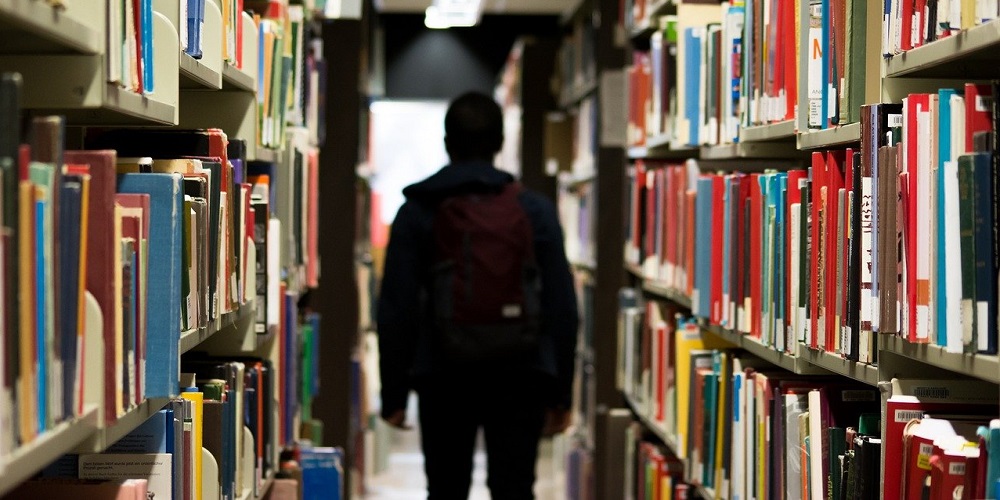 National Library Shelfie Day in 2025/2026 When, Where, Why, How is