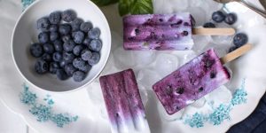 National Blueberry Popsicle Day