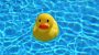 National Rubber Ducky Day-4327