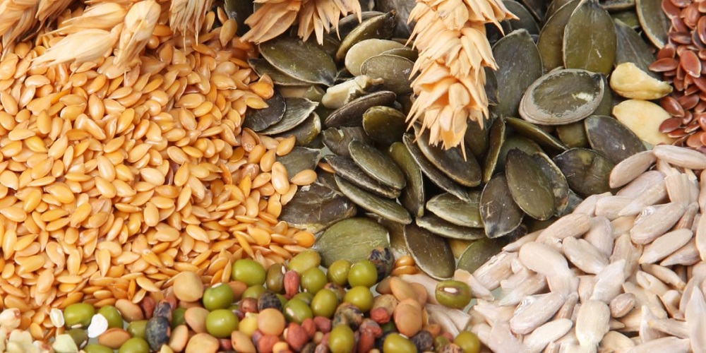 National Seed Swap Day in 2025/2026 When, Where, Why, How is Celebrated?