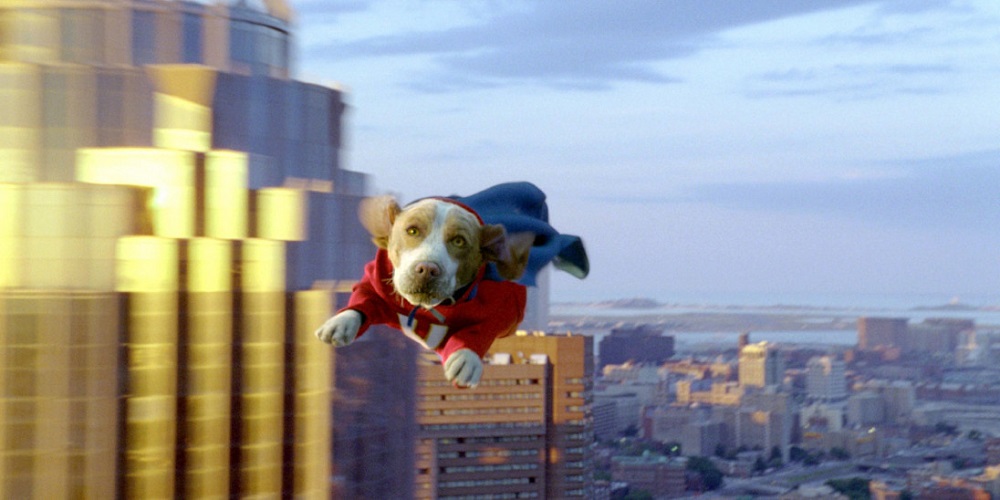 Underdog Day in 2021/2022 When, Where, Why, How is Celebrated?