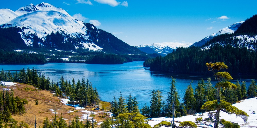 Seward’s Day in 2024/2025 When, Where, Why, How is Celebrated?