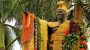 Kamehameha Day observed-5352