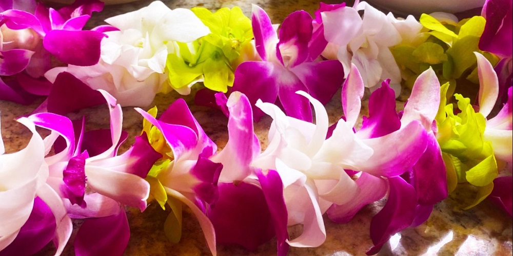 Lei Day in 2024/2025 When, Where, Why, How is Celebrated?