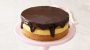 National Boston Cream Pie Day-5443