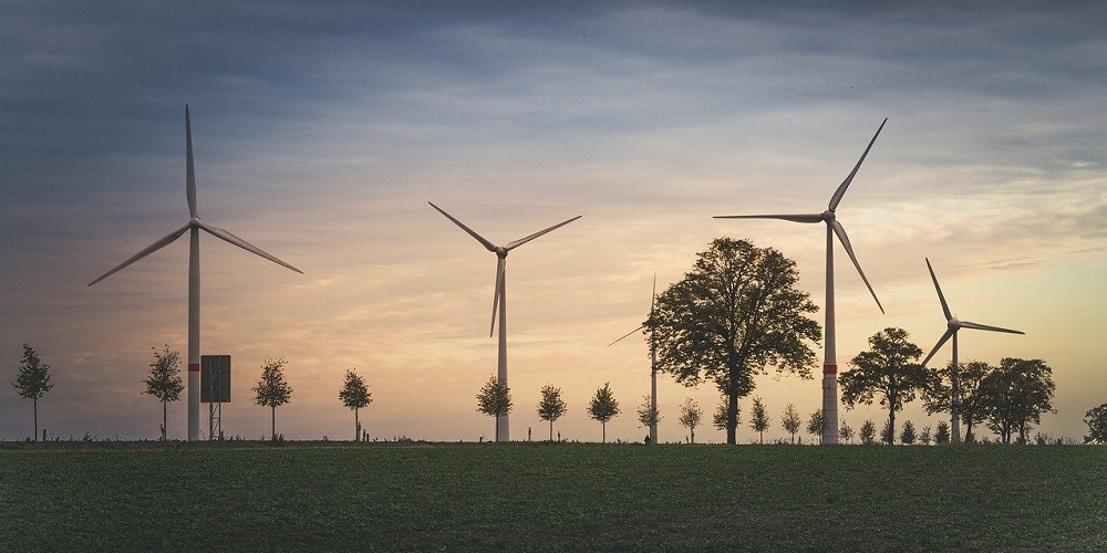 National Big Wind Day in 2024/2025 When, Where, Why, How is Celebrated?
