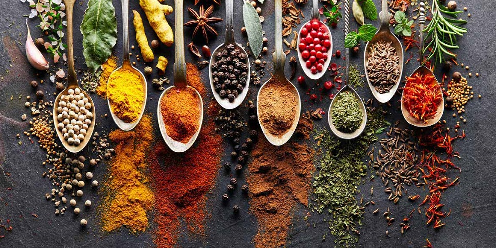 in 2023/2024 When, Where, Why, How is Celebrated?