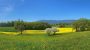 National Prairie Day