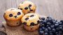 National Blueberry Muffin Day-6151