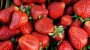 National California Strawberry Day
