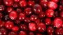 National Eat a Cranberry Day-6839