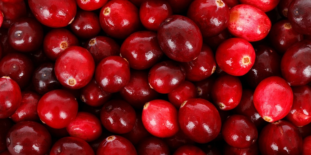 National Eat A Cranberry Day in 2025/2026 When, Where, Why, How is