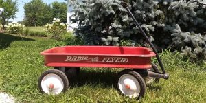 National Little Red Wagon Day