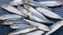 National Sardines Day-6371