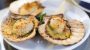 National Baked Scallops Day-7157