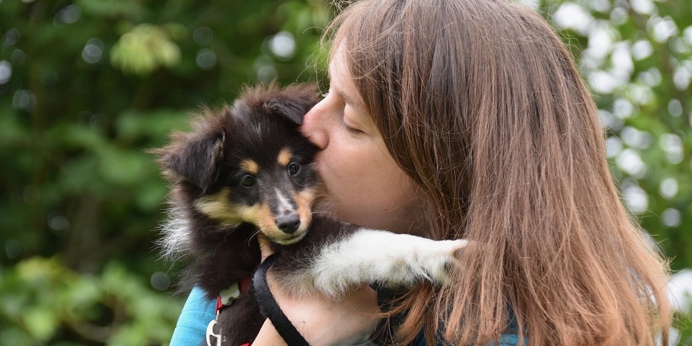 National Dog Mom’s Day in 2025/2025 When, Where, Why, How is Celebrated?