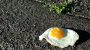 Sidewalk Egg Frying Day-7018