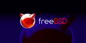 National FreeBSD Day