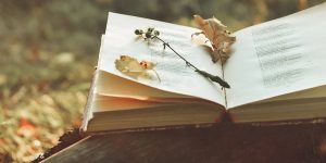 National Great Poetry Reading Day