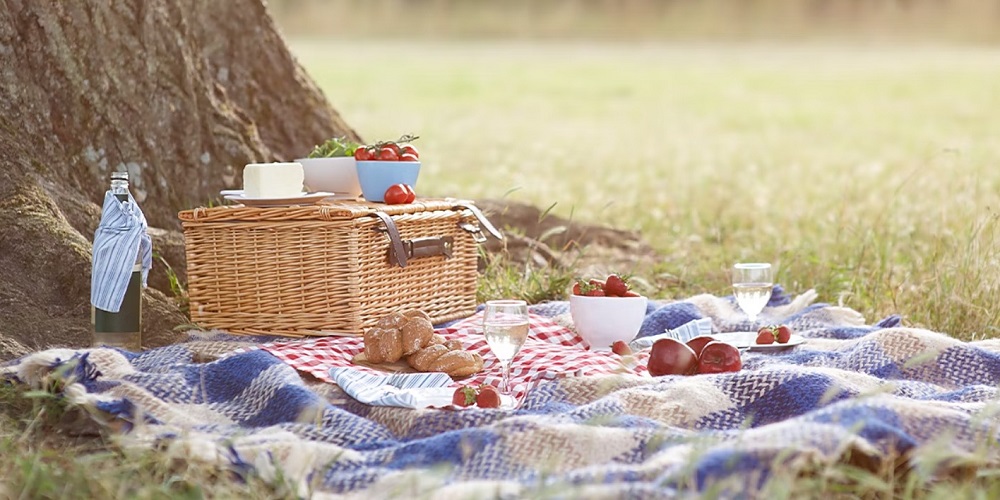Northern Territory Picnic Day in 2025/2025 When, Where, Why, How is