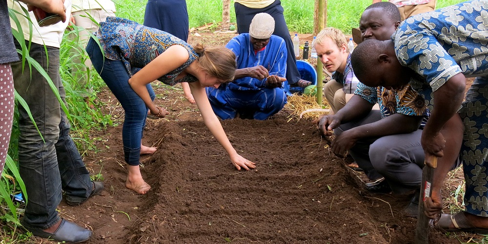 Peace Corps Week in 2024/2025 When, Where, Why, How is Celebrated?