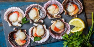 National Coquilles Saint Jacques Day