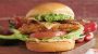 National Fried Chicken Sandwich Day-12164