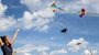 International Kite Day-12660