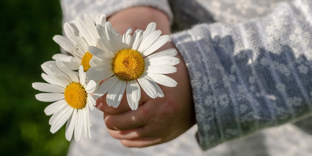 Bring Flowers To Someone Day in 2025/2026 - When, Where, Why, How is ...