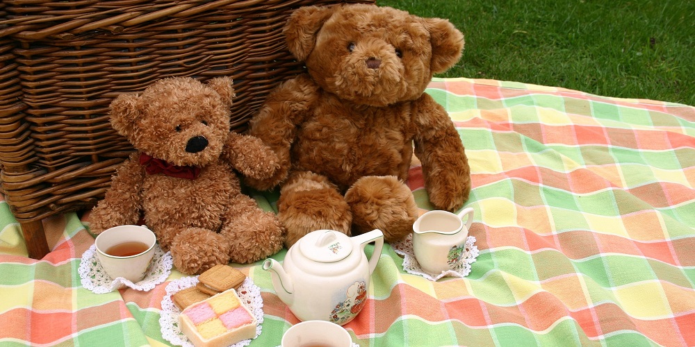 Teddy Bear Picnic Day in 2024/2025 When, Where, Why, How is Celebrated?