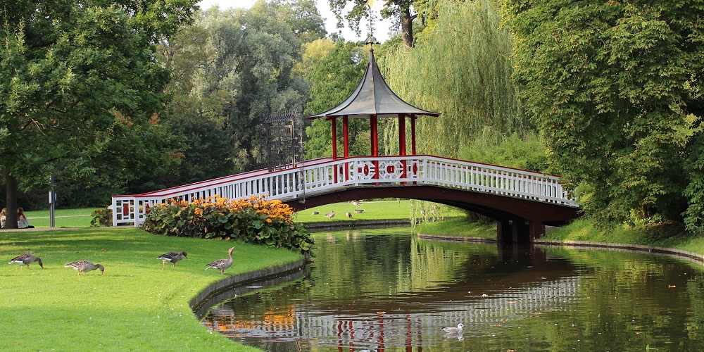 National Public Gardens Day in 2023/2024 When, Where, Why, How is