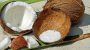 World Coconut Day-15591